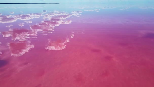 Vue aérienne épique du lac salé rose coloré et reflet des nuages — Video