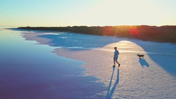 Mann spaziert mit walisischem Corgi-Hund entlang der Salzküste des mineralischen rosa Salzsees — Stockvideo