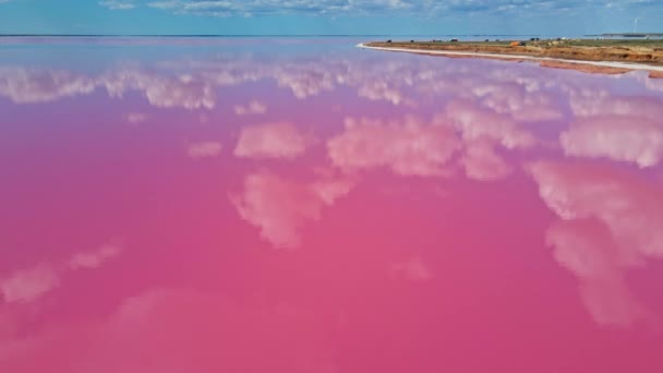 Vol de drone au-dessus du lac rose coloré avec la côte salée et beau ciel avec des nuages dramatiques — Video