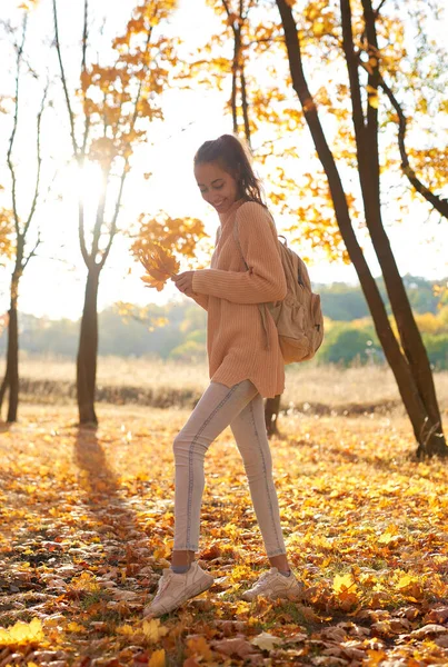 Pen jente som går i høstparken med falne blader i hendene, fargerike blader og sollys på bakgrunnen.. – stockfoto