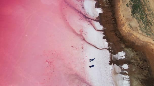 Vista del dron de colorido lago rosa con amplia costa de sal blanca — Vídeos de Stock