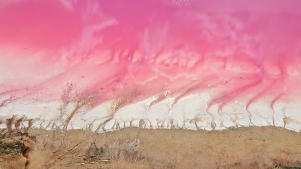 Paisagem bonita brilhante com costa de lago de sal rosa de drone — Vídeo de Stock