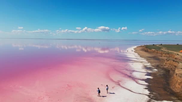 Filmische Luftaufnahmen von Drohnen, die über eine atemberaubende Landschaft mit natürlichem rosa See fliegen — Stockvideo