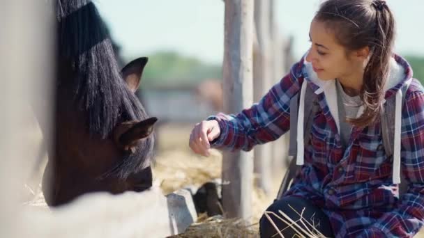 Случайно счастливая нежная молодая девушка гладит лошадь на ферме или ранчо — стоковое видео