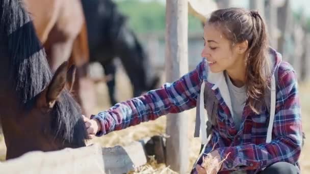 田舎の農場や牧場でカジュアルな幸せな女性のペッティング馬 — ストック動画