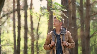 Güneşli bir sonbahar gününde ormana bakan yürüyüşçü.