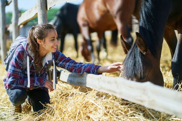 Woman on countryside farm or ranch petting horse — Stock Photo, Image