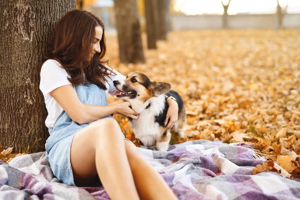 Young woman together with cute Welsh Corgi Pembroke dog in a fall park outdoors. — Stock Photo, Image