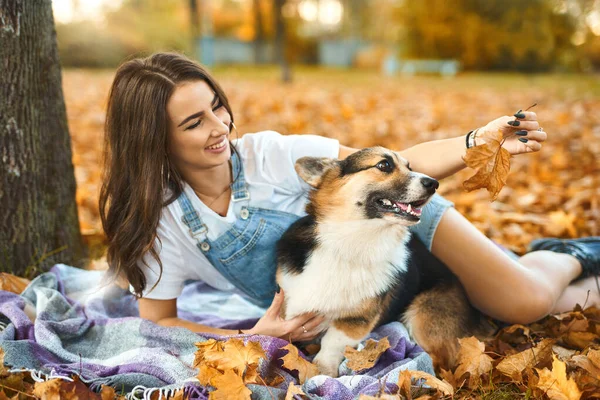 Jovem mulher brincando com bonito galês Corgi Pembroke cão no outono parque ao ar livre. — Fotografia de Stock
