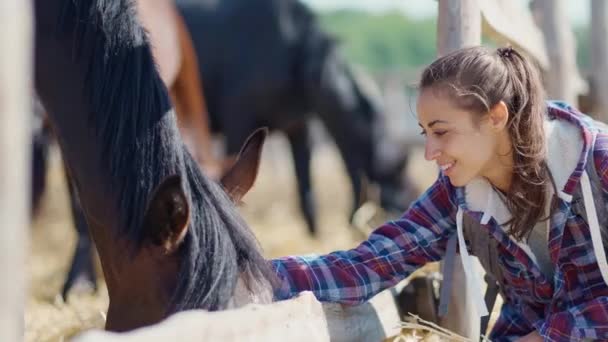 Ласковая молодая девушка в повседневной куртке гладит лошадь на ферме или ранчо — стоковое видео