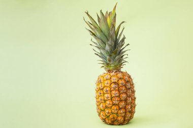 Yeşil arka planda tam bir ananas. Konsept: yaz, yemek, yaratıcı düzen. Yakın plan. Metin için alanı kopyala. 