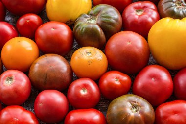 Çiftlikten çok renkli domatesler. Doğal ürün. Olgun, lezzetli domatesler. Kapat..