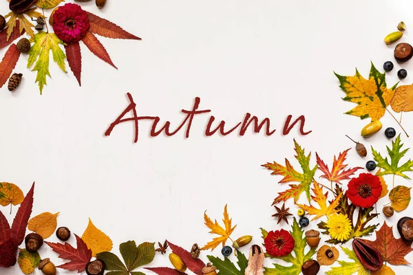 Осенняя Композиция Сушеные Листья Цветы Ягоды Желуди Каштаны Белом Фоне — стоковое фото
