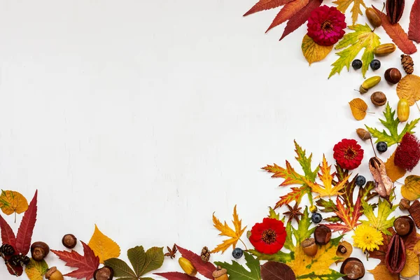 Kompozycja Jesienna Suszone Liście Kwiaty Jagody Żołędzie Kasztany Białym Tle — Zdjęcie stockowe