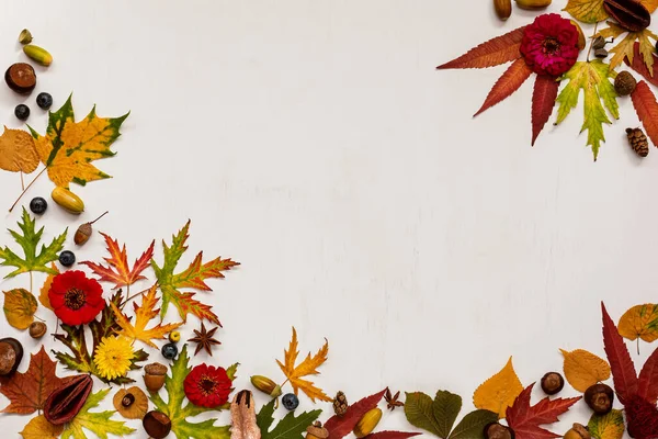 Kompozycja Jesienna Suszone Liście Kwiaty Jagody Żołędzie Kasztany Białym Tle — Zdjęcie stockowe