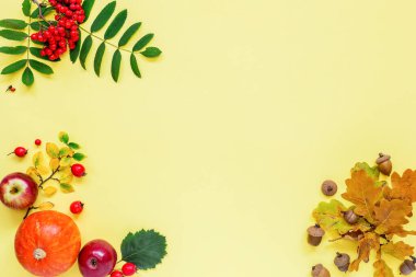 Sonbahar kompozisyonu. Balkabağı, kırmızı elma, yeşil yapraklı bir dalda kızılcık, meşe palamudu, dikenli meyve. Fotokopi alanı olan sarı arkaplana dekor düşür. Üst Manzara. Düz yatıyordu.