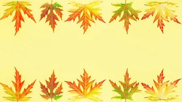 Φθινοπωρινό Περίγραμμα Από Φωτεινά Φύλλα Σφενδάμου Κίτρινο Φόντο Φθινοπωρινή Πώληση — Φωτογραφία Αρχείου