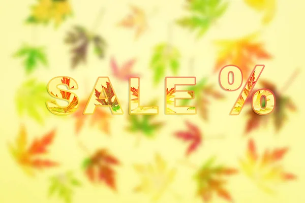 Ausverkauf Der Herbstvorlagen Mehrfarbige Ahornblätter Auf Verschwommenem Hintergrund Konzept Herbstverkauf — Stockfoto