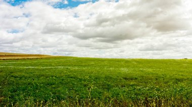Campillos, Malaga 'daki Laguna Salada bölgesinin Idyllic manzarası