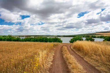 Yol, bulutlar, göl manzarası. Malaga, Campillos.