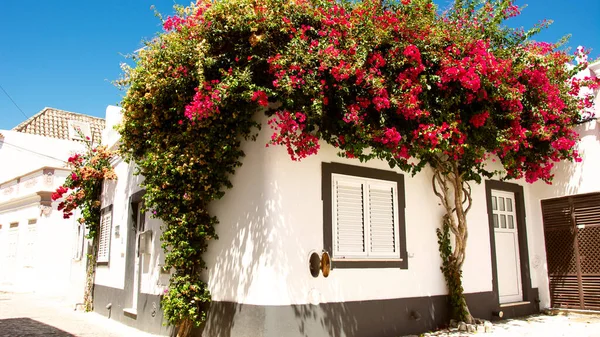 Vista Ciudad Tavira Portugal — Foto de Stock