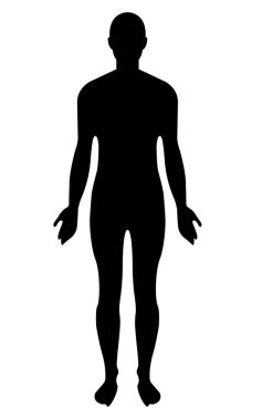 İnsan Vücudunun Özeti