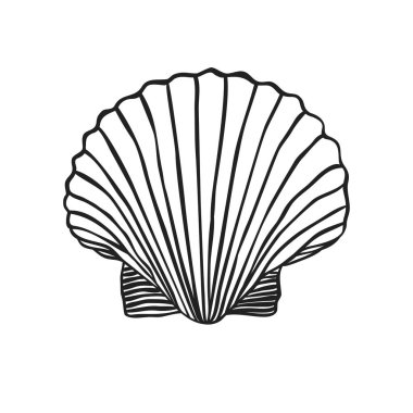 Elle çizilmiş kabukları desen, vektör çizim