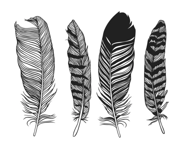 Hand Drawn Boho Illustration Pattern Seamless Feather Vector Creative Art — Stock Vector