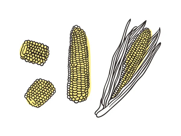 Kukurydza Doodle Ręcznie Rysowane Stylowe Owoce Warzywa Wektor Artystyczny Rysunek — Wektor stockowy