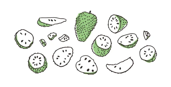 Doodle Tropical Anona Fruto Elegante Desenhado Mão Vegetal Vetor Artístico — Vetor de Stock