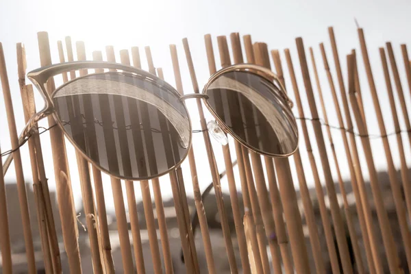 Сонцезахисні Окуляри Моделі Котячого Ока Призначені Перебування Бамбуковій Оболонці Сонячний — стокове фото