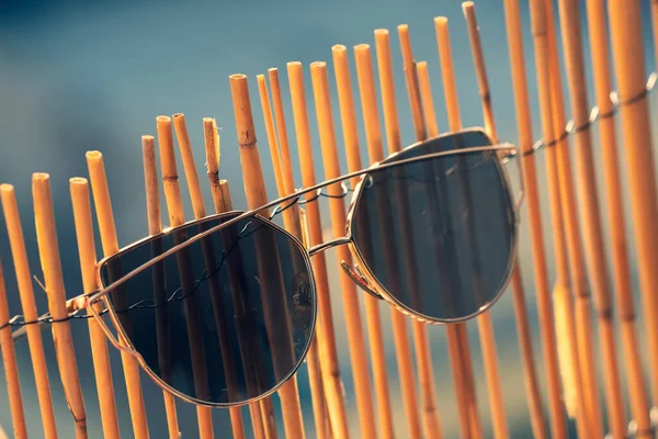 Cat eye sunglasses model profile for ladies with big lenses hanging on a bamboo fence in a summer day. Selective focus