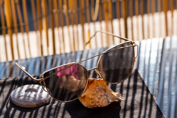 Cat eye sunglasses model profile for ladies with big lenses stay on shell in a summer day. Selective focus