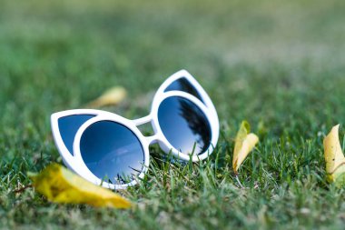 Kedi gözü güneş gözlüğü yakın çekim yapan kadınlar için özel bir model. Seçici odak 