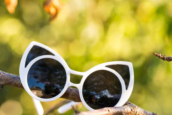 Cat eye sunglasses design model for women shoot outside in nature closeup. Selective focus