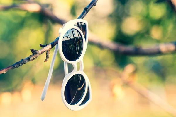 Gafas de sol de ojo de gato modelo de diseño para mujer disparar al aire libre en primer plano naturaleza. Enfoque selectivo — Foto de Stock