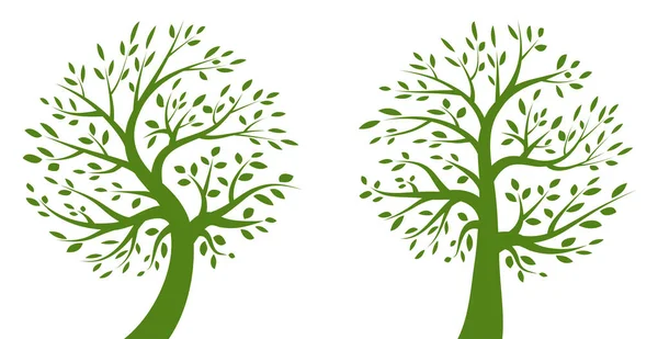 Набор зеленого логотипа. Коллекция экологических органических эмблем. Идея семейной жизни. Логотип растения дуба. Векторный силуэт дерева. — стоковый вектор