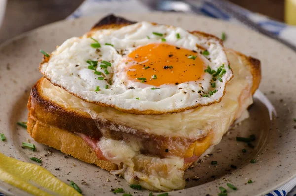 Croque madame sandviç, leziz yiyecek, gıda fotoğrafçılığı