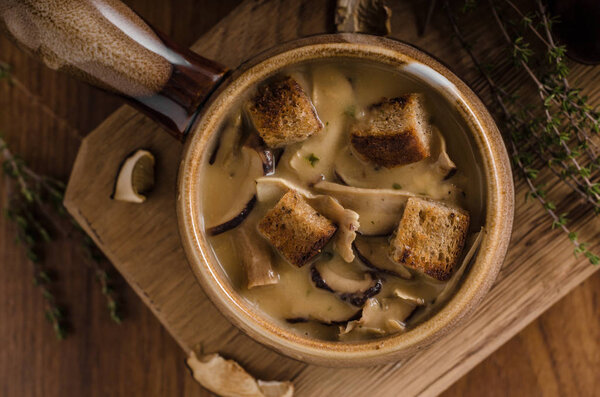 Rustic mushrooms soup, czech forest mushrooms, fresh collect in woods