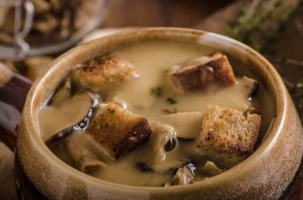 Rustic mushrooms soup, czech forest mushrooms, fresh collect in woods