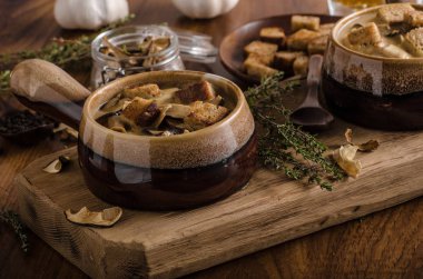 Rustik mantar çorbası, Çek orman mantar, taze toplama ormanda