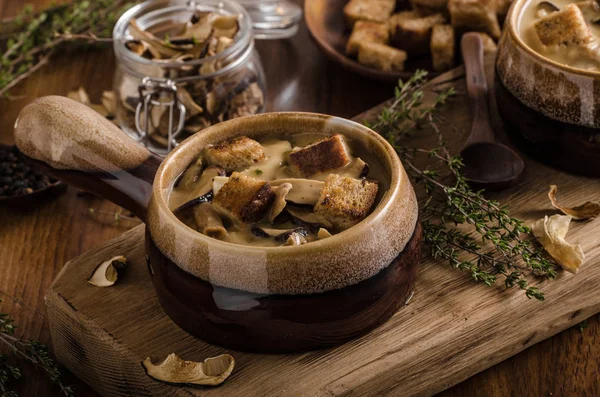 Rustic mushrooms soup, czech forest mushrooms, fresh collect in woods — Stock Image Rustic Mushrooms Soup Czech Forest Mushrooms Fresh Collect Woods Stock Photo