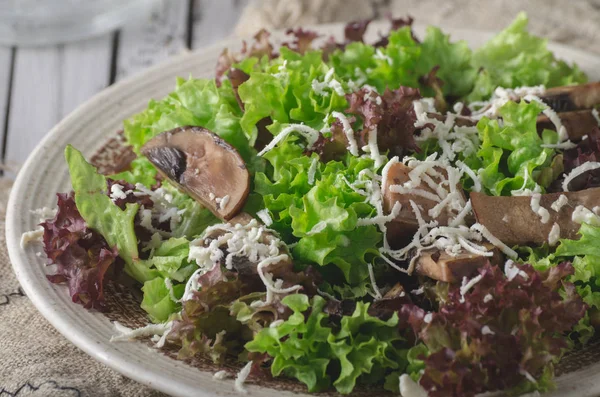 Lechuga Ensalada Bio Casera Con Champiñones Comida Sencilla Deliciosa Fotografía —  Fotos de Stock