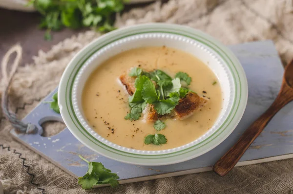 Heerlijke Zelfgemaakte Soep Food Fotografie Bio Biologische Voeding — Stockfoto