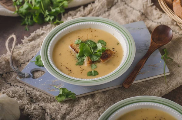 Delicious Homemade Soup Food Photography Bio Organic Food — Stock Photo, Image