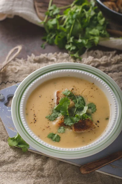 Delicious homemade soup, food photography, bio organic food — Stock Image Delicious Homemade Soup Food Photography Bio Organic Food Stock Photo