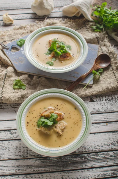 Deliciosa Sopa Casera Fotografía Alimentos Comida Bio Orgánica —  Fotos de Stock