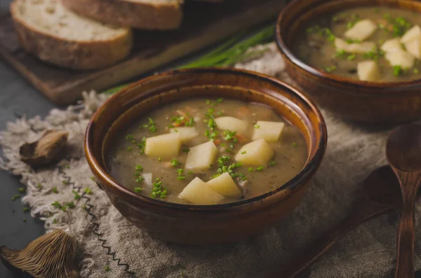 自家製 Delish スープ内のハーブとヒラタケ — ストック写真