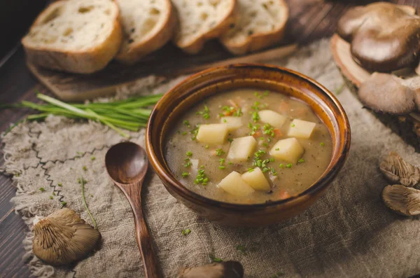 Hausgemachte Köstliche Suppe Mit Kräutern Inneren Und Austernpilz — Stockfoto