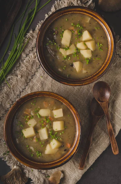 Homemade delish soup with herbs inside and oyster mushroom — Stock Image Homemade Delish Soup Herbs Oyster Mushroom Royalty Free Stock Photos